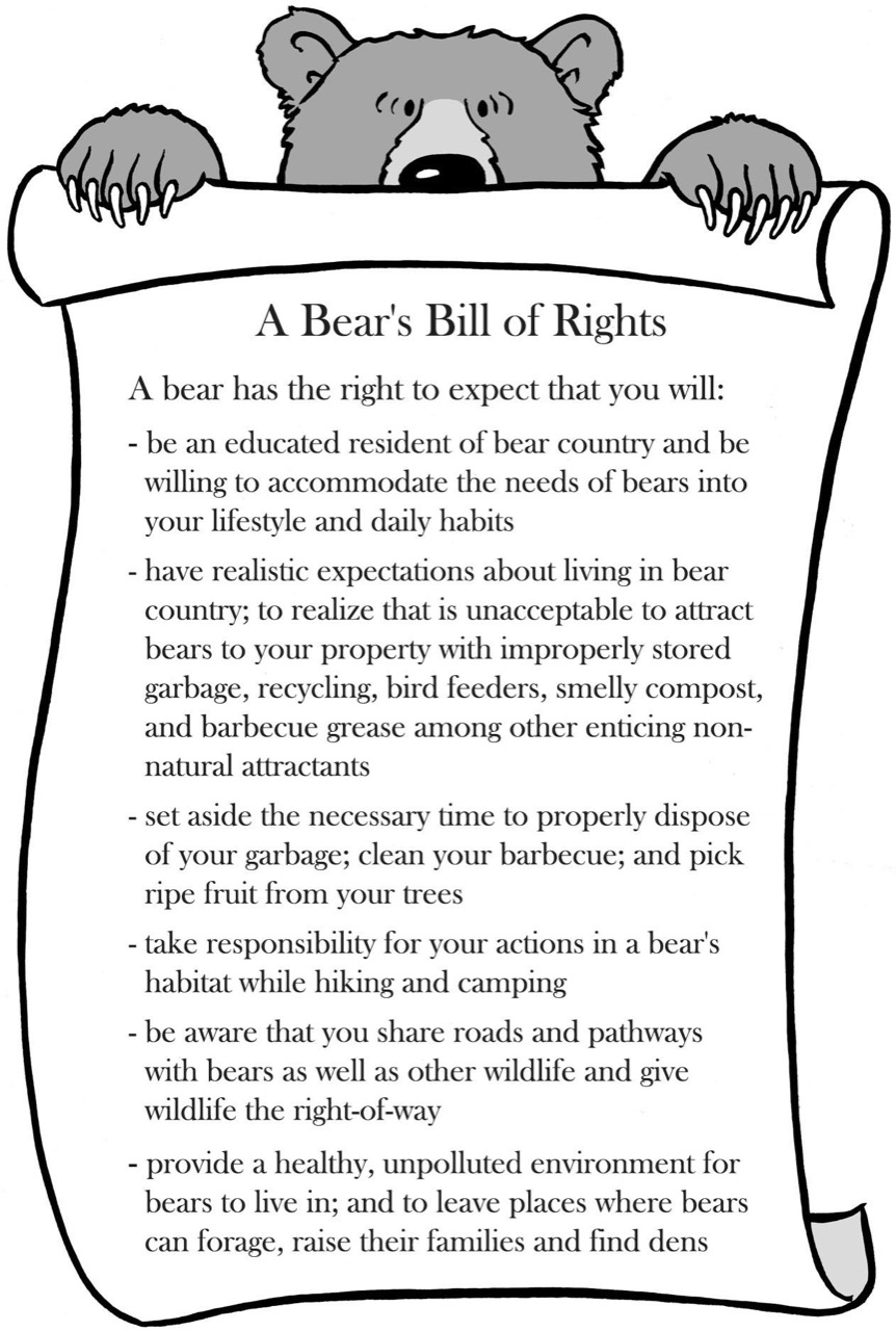 Bears-Bill-of-Rights